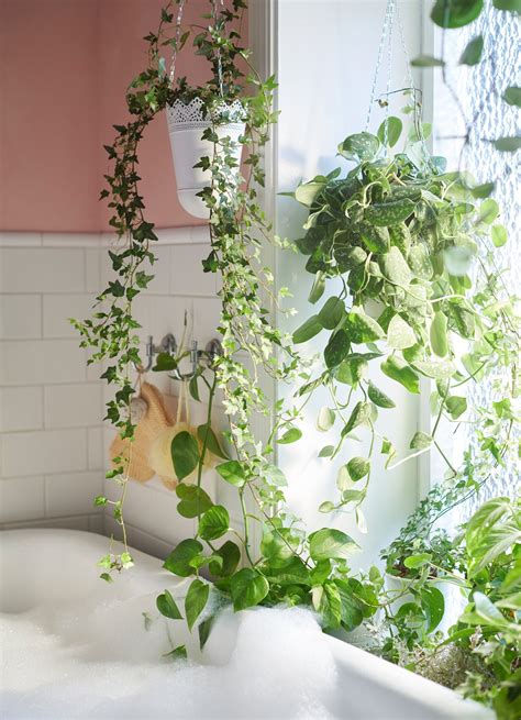 Have a Unique Window in Your Loo? Here Are 9 Bathroom Curtain Ideas to