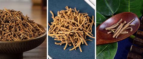 Bai Wei - Baiwei - Bai Wei Herb - Bai Wei TCM For Sale - Native Chinese