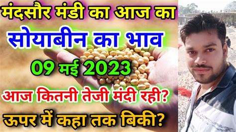 मंदसौर मंडी का आज का सोयाबीन का भाव 09 मई 2023 Soybean Rate Today Soybean Ka Bhav Soybean