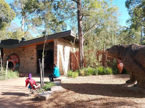 Healesville Sanctuary Buy Discount Tickets And Prices Map And Zoo Hours