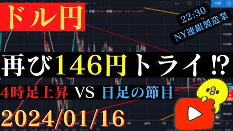 【ドル円】再び146円トライ⁉突破なら147円台も！待ち受けるは日足の節目🐥20240116🐥 Youtube