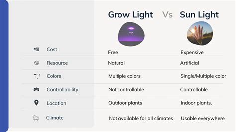 Grow Light Vs Sunlight Which Is The Best Option For Your Garden