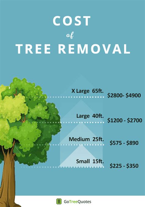 How Much Does Tree Removal Cost Winter Price Guide