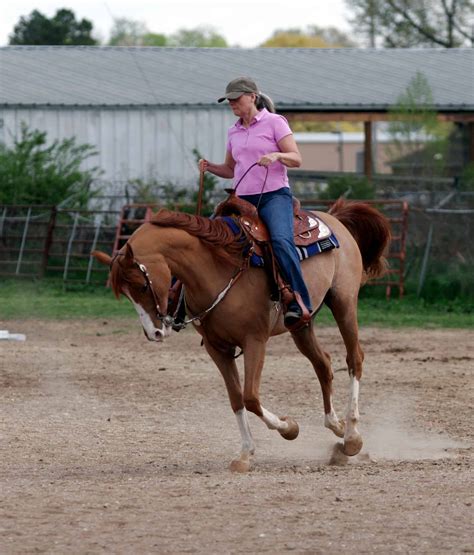 Learn How To Properly Canter On A Horse