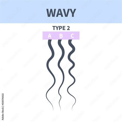 Wavy hair type classification system set. Detailed human hair growth ...