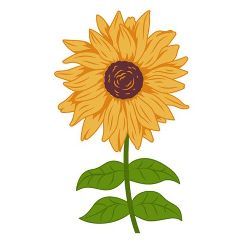 Dise Os Png De Girasol Para Camisetas Merch