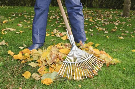 Mantenimiento En Los Parques Y Jardines Parques Alegres I A P