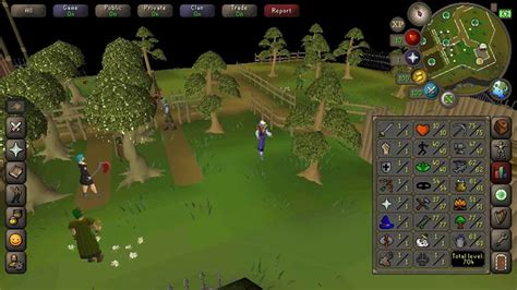 What is a Pure in Old School RuneScape? – FandomSpot