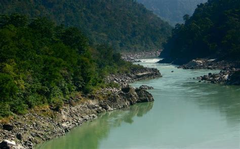 What Caused the Pollution in the Ganges River?