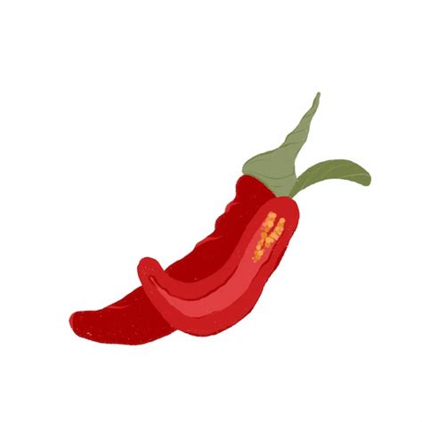 Premium Vector Red Hot Chili Pepper Hand Drawn