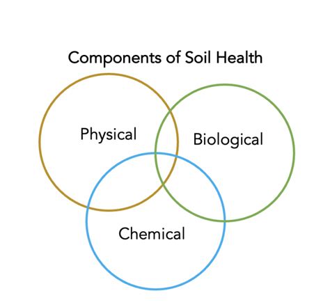 A Holistic Approach To Assessing Soil Health