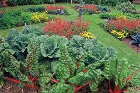 Eat Your Yard How To Design An Edible Landscape Mother Earth Living