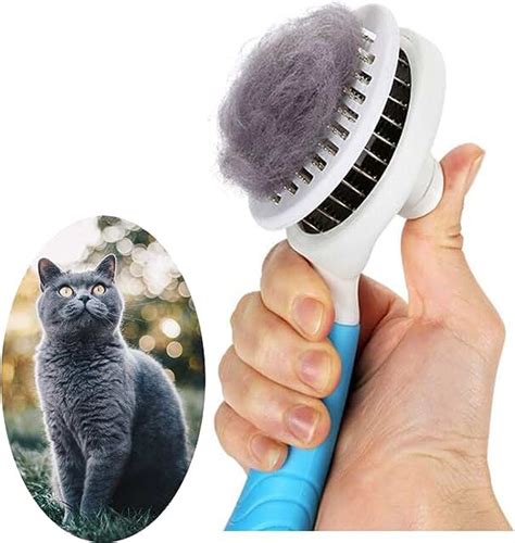 Amazon Fr Brosse Pour Chat