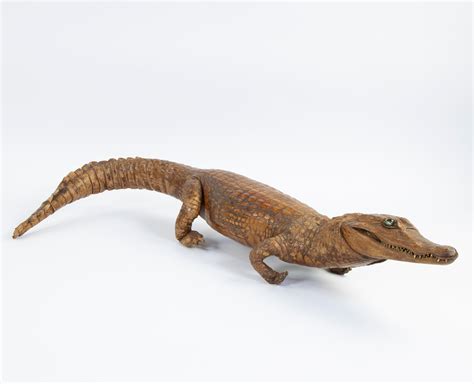 Lot Taxidermy Stuffed Crocodile