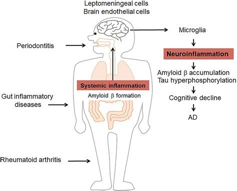 Frontiers Inflammation Spreading Negative Spiral Linking Systemic Inflammatory Disorders And