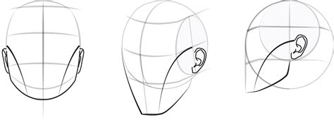 The Ultimate Guide To Drawing The Turned Head Loomis Method Step By