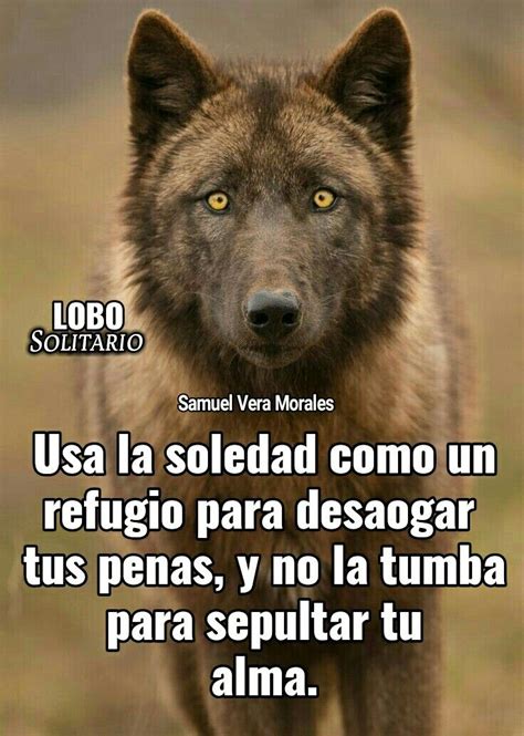 Top 30 Imagen Lobos Con Frases Bonitas Abzlocal Mx