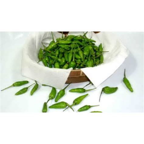 Jual Cabai Cabe Rawit Hijau Ijo Green Bird S Eye Chili Pepper Kg