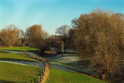 Kostenlose Foto Landschaft Baum Natur Wald Gras Ast Winter