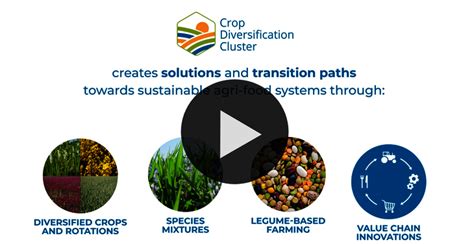 Crop Diversification Cluster Crop Diversification Cluster