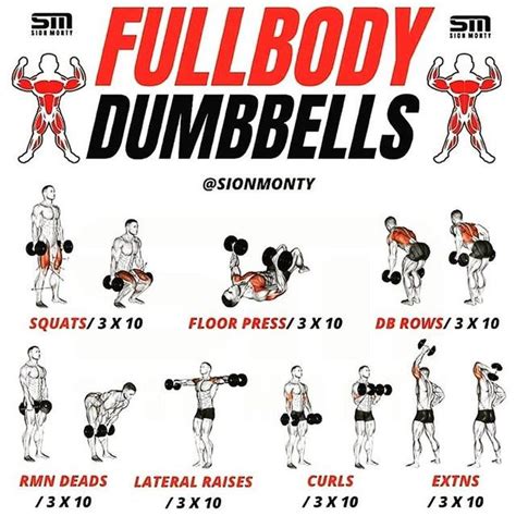 Full Body Dumbbell Workout Full Body Workout Routine Barbell Workout Body Workout At Home