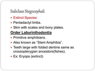 Classification of amphibia | PPT