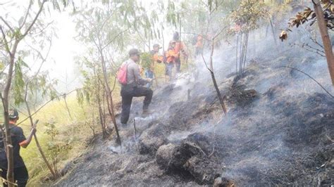 Breaking News Lahan Hutan Di Gunung Sumbing Yang Terbakar Mencapai 149