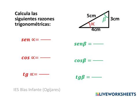 Razones Trigonométricas De Un ángulo Agudo Worksheet Live Worksheets