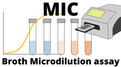 Tvorcov Z Tvorka Motivova Volite N Mic Microbiology Sf Ra Up R