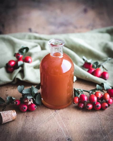 Rose Hip Syrup: Foraged and Made with Honey