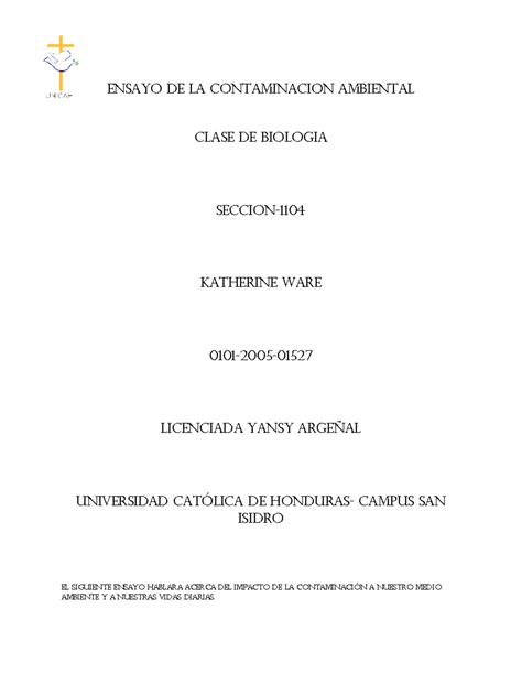 Ensayo De La Contaminacion Ambiental Ensayo De La Contaminacion