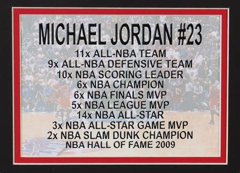 Michael Jordan Custom Framed Jersey Display | Pristine Auction