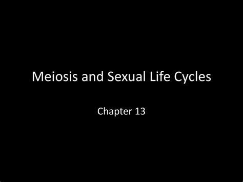 Meiosis And Sexual Life Cycles Ppt Download