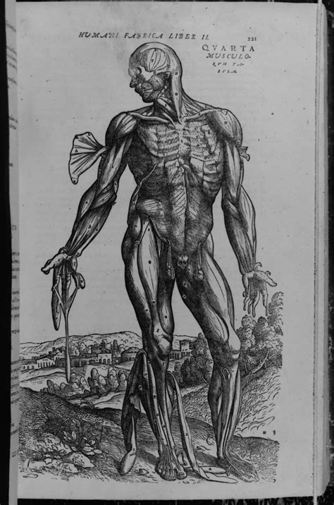 Andreas Vesalius Book Cover