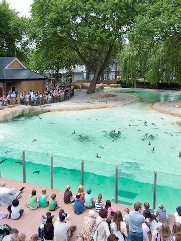 ZSL London Zoo Tickets | Best Price Online