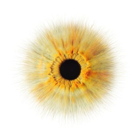 Глаза, рассказывающие истории