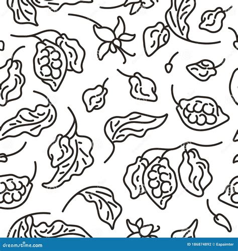 Cocoa Seamless Pattern Pod Beans Cocoa Butter Cocoa Liquor