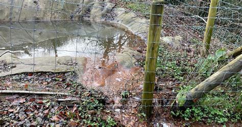 Quarry Leaking Toxic Chemicals Into Idyllic Beauty Spot After Monsanto