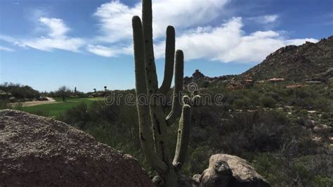 沙漠移动的风景timelapse亚利桑那 影视素材 视频 包括有 干燥 斯科茨代尔 冰砾 沙漠 50875470