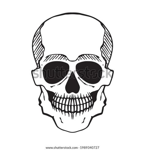 Human Skull Hand Drawn Graphic Vector Stock Vector Royalty Free 1989340727 Shutterstock