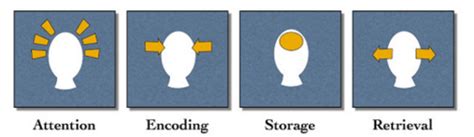 Chapter 7 Memory Definition Examples Flashcards Quizlet