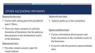 Ascending tracts of spinal cord | PPT