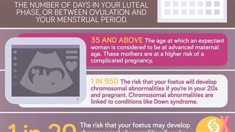 Your Fertility By The Numbers Infographic