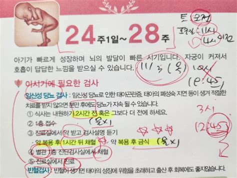 임산부 임당검사 방법 시기 수치 임당 전날 식단 임신 24주 네이버 블로그