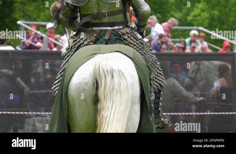 Horse rear view Stock Videos & Footage - HD and 4K Video Clips - Alamy