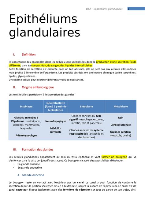 Epithéliums glandulaires Définition Ils constituent des ensembles