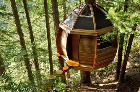 A Tree Top Retreat That Cost 8 200