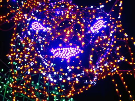 Woodland Park Zoo WildLights | A Roaring Good Time!