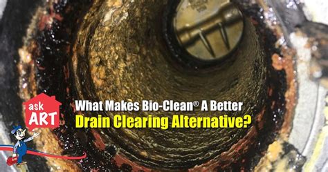 Bio Clean An Eco Friendly Drain Clearing Solution