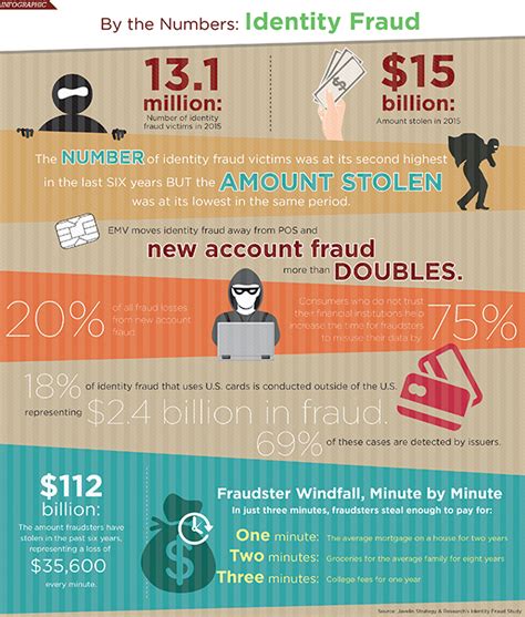 Identity Fraud By The Numbers Infographic